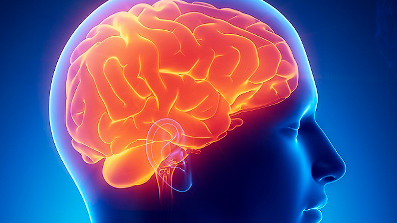 Salud Mental en APS – Abordaje del Alzheimer y Otras Demencias en APS